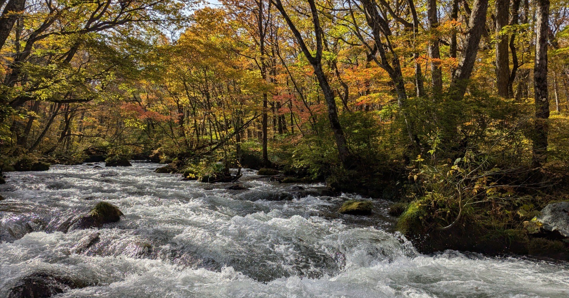 錦秋奥入瀬 錦秋の奥入瀬渓流 | ｜正光画廊