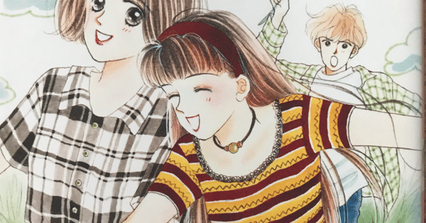 秋野ひとみ作「つかまえてシリーズ」全巻レビュー - つかまえて