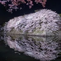 写真家の立場でみる 多様性 について あるいは 懐かしき 白と金 と 青と黒 のドレスへ捧げるオード 別所隆弘 Note