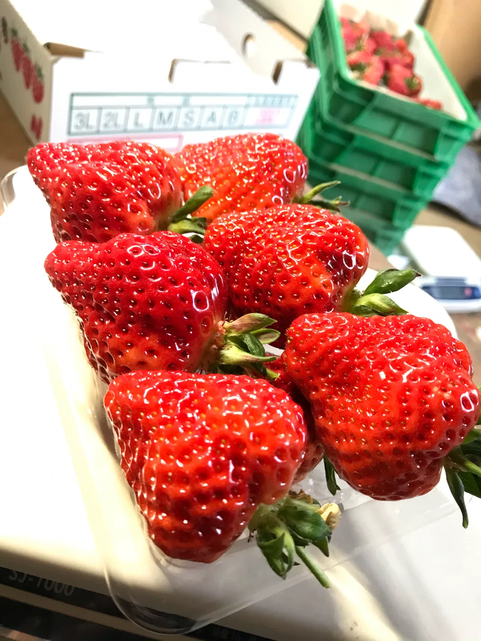 いちご 柔らかい