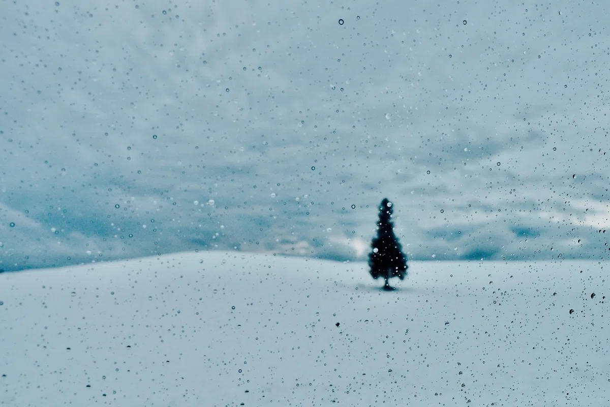 画像20