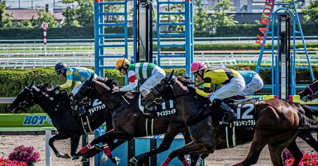 【在庫限り】 2025👑6👑28《土》【👑特SSS🐴激アツ万券勝負レース👑】🔥函館 その他