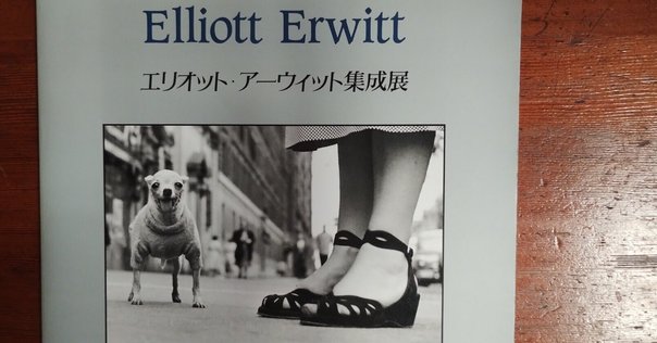 アートがアートとして伝わる瞬間の探求：「イメージ、それでも