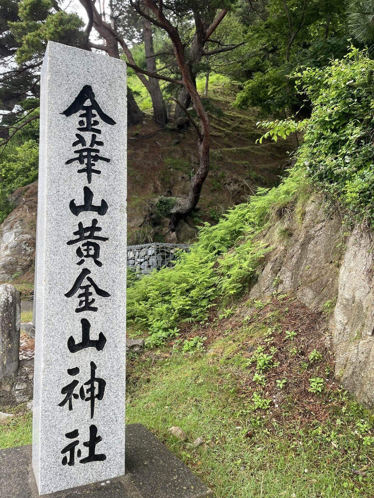 WISH JOURNEY《めぐる豊かさ》金華山リトリート｜竹内はるみ｜セカンド