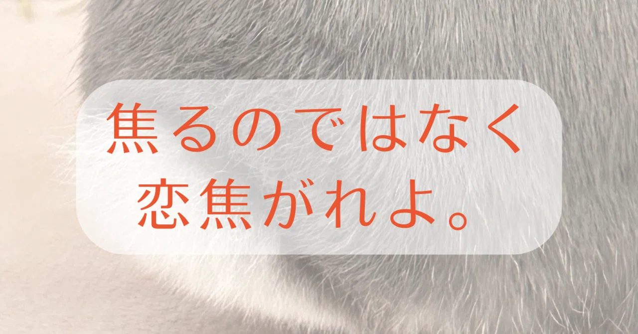[心]50代、焦りは禁物：こげるからあせるので、こがさなければよい。｜りらの花 ꕤことばヒーラー