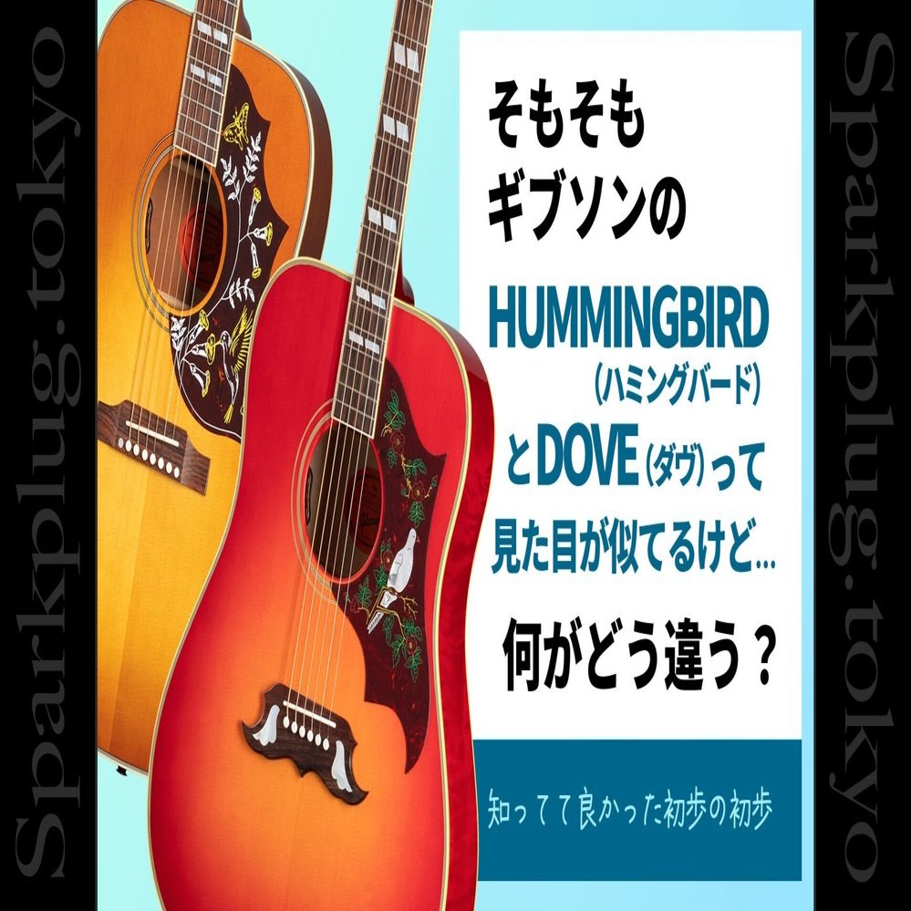  バード　 Dove Gibson Acoustic Dove Double Pickguard Acoustic-electric Guitar