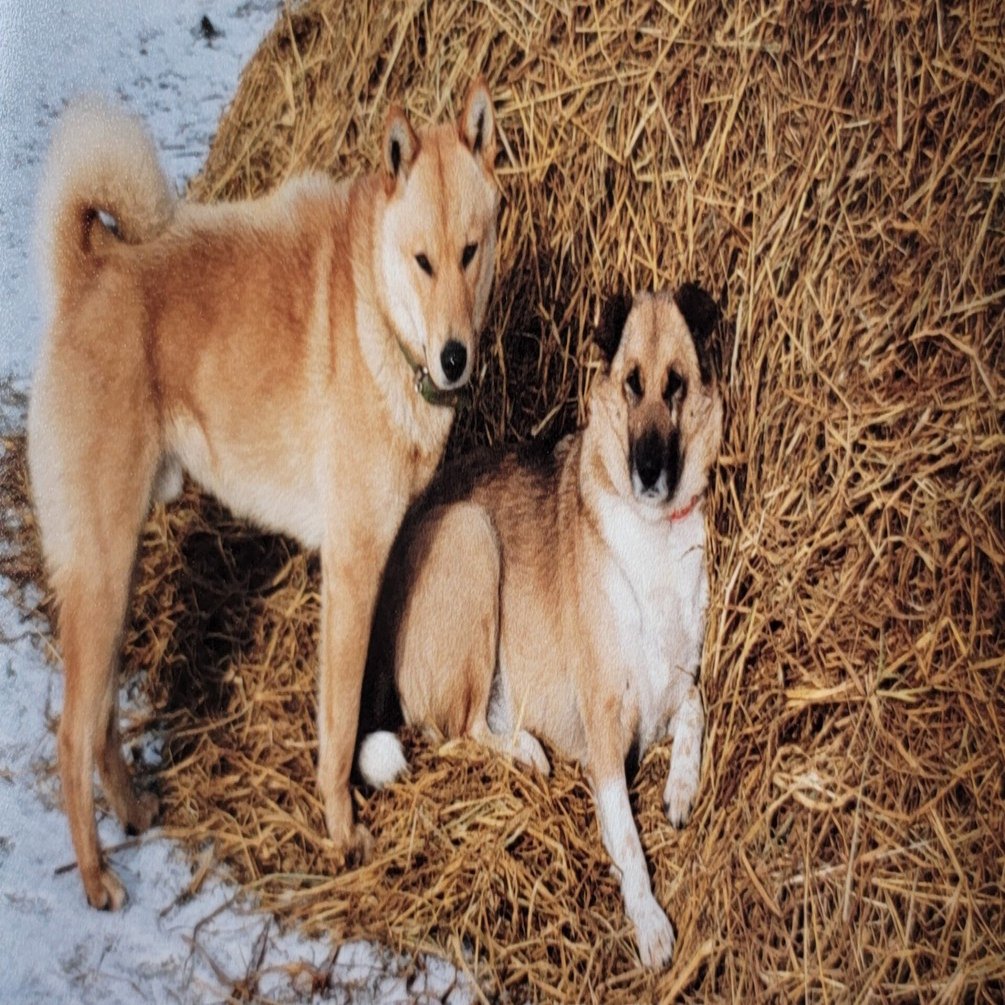 馬の瞳を見つめて(増補版)23｜渡辺はるみ