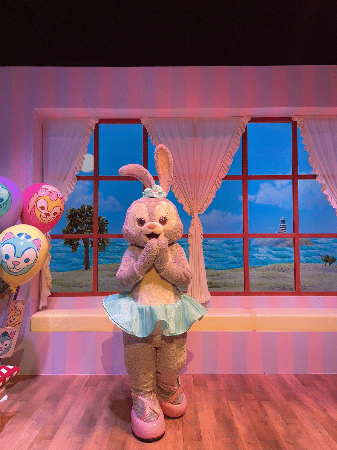 香港ディズニー旅行記⑫ダッフィーフレンズとも沢山ご挨拶できて
