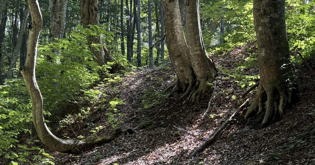 金の成る木」ご朱印頒布のお知らせ｜お知らせ｜久能山東照宮｜静岡