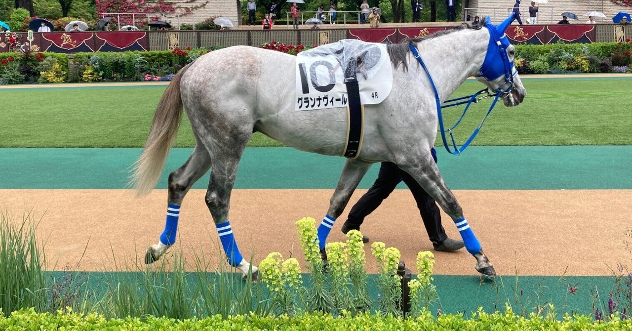 JRA小倉　オグリワン オグリワン (Oguri One) | 競走馬データ - netkeiba