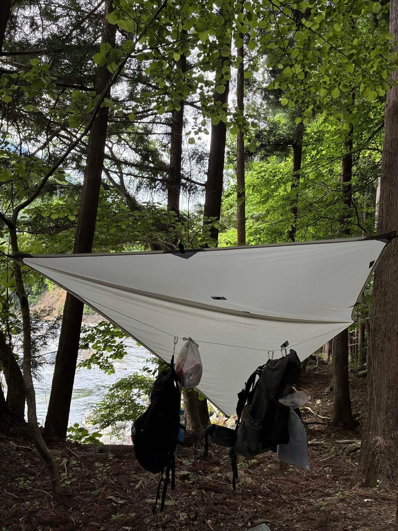 ソロキャンプ ハンモックとSummer quilt 【Woodsman Campground