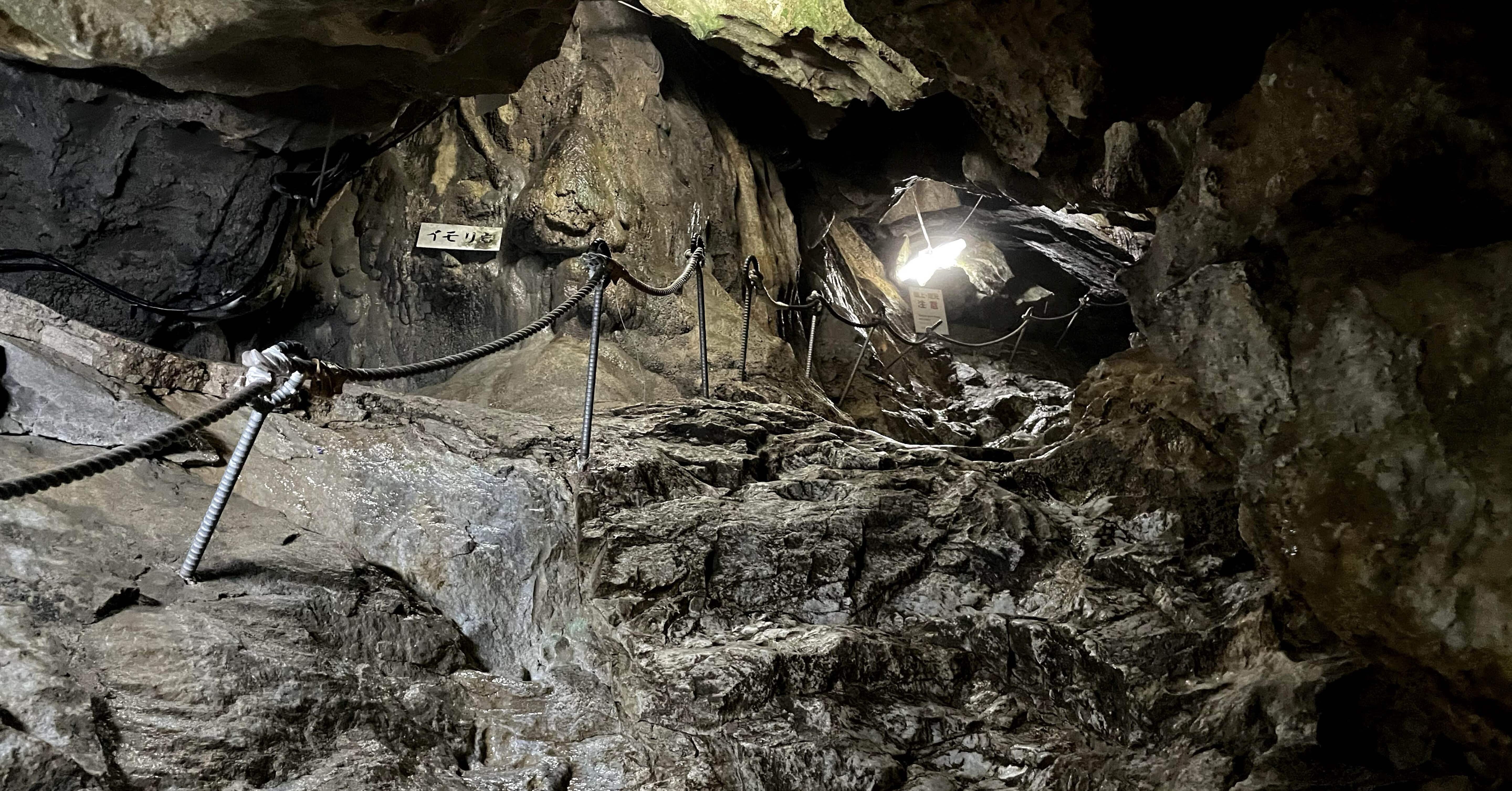 ca54110c9bd2310528e771b5021ed1