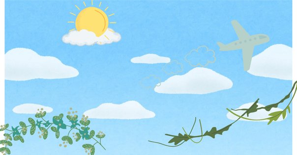 先天性心疾患の手術書【10冊】まとめ！｜たていし みのり | 心臓