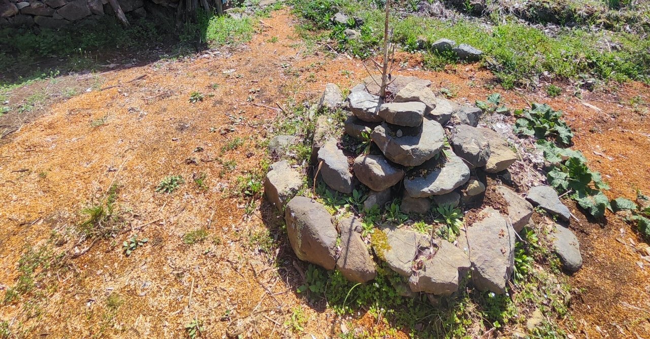 Forest gardening  パーマカルチャー関連 25cce958ec678ebe6a0aeb799e2a08