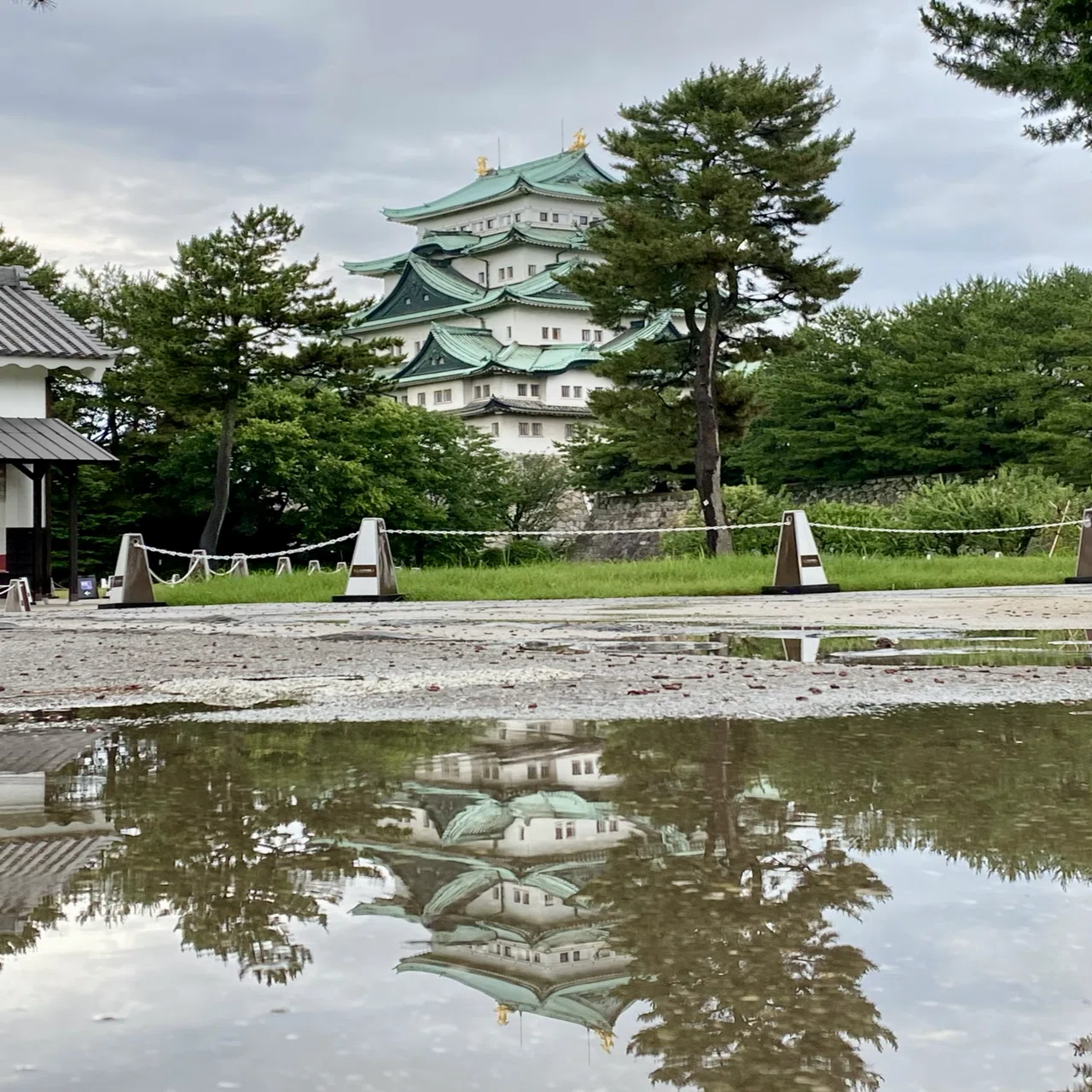 写真館1002】雨上がりの楽しみ｜えりた