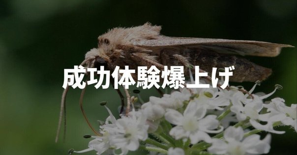 【限定200部発行】 『ミステリ作家名鑑』 本格派編 1920-70 森英俊 限定200部発行】 『ミステリ作家名鑑』 本格派編 1920-70 森英俊