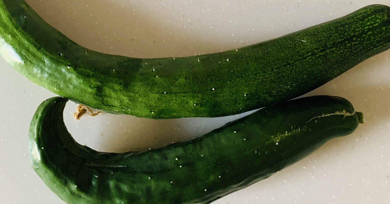 里芋の定植しました！｜かおり農園（仮）
