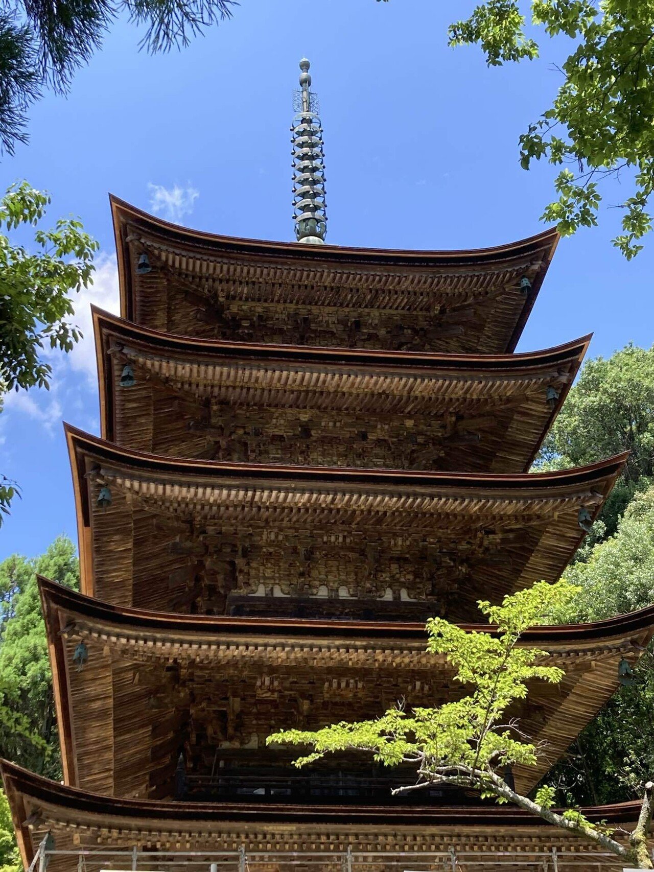 SP記念‼️お城✨お寺✨桜咲く✨瑠璃光寺✨五重の塔✨SPハイグレード、ジオラマ 瑠璃光寺五重塔 – Chugoku Region Tourism Guide | 中国地方観光