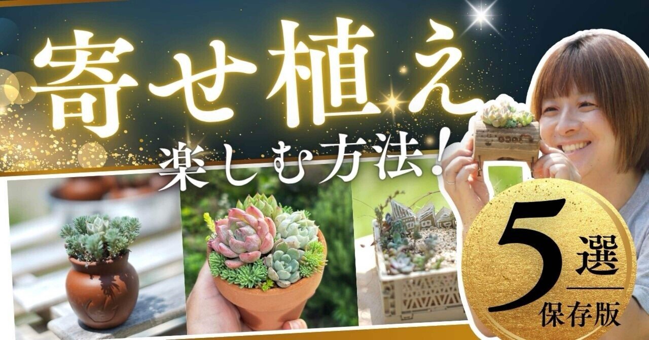 多肉植物寄せ植えのコツ！コスパ重視で多肉の寄せ植えを楽しむ方法