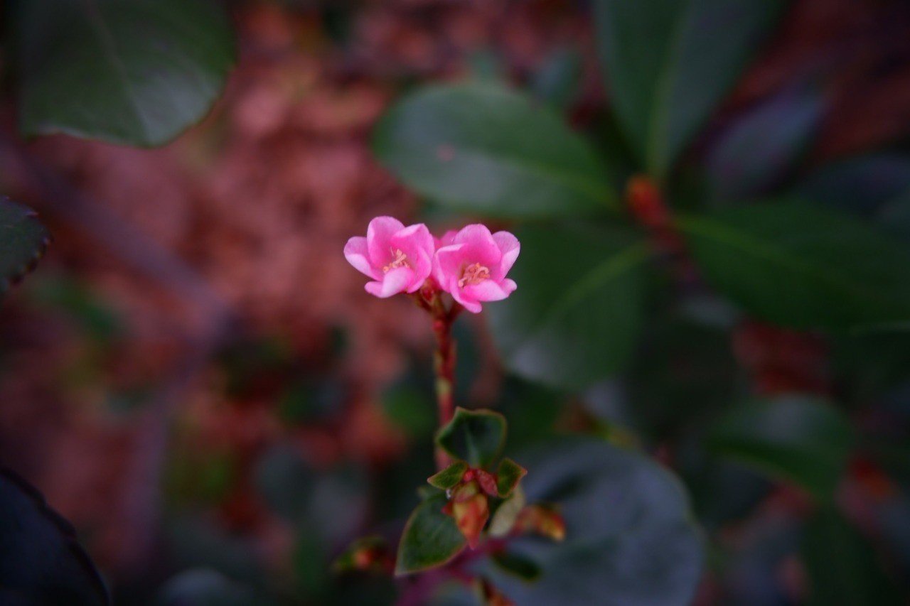 神経過敏 情緒不安定妊婦がやってよかったこと 蛍石 ケイセキ Note