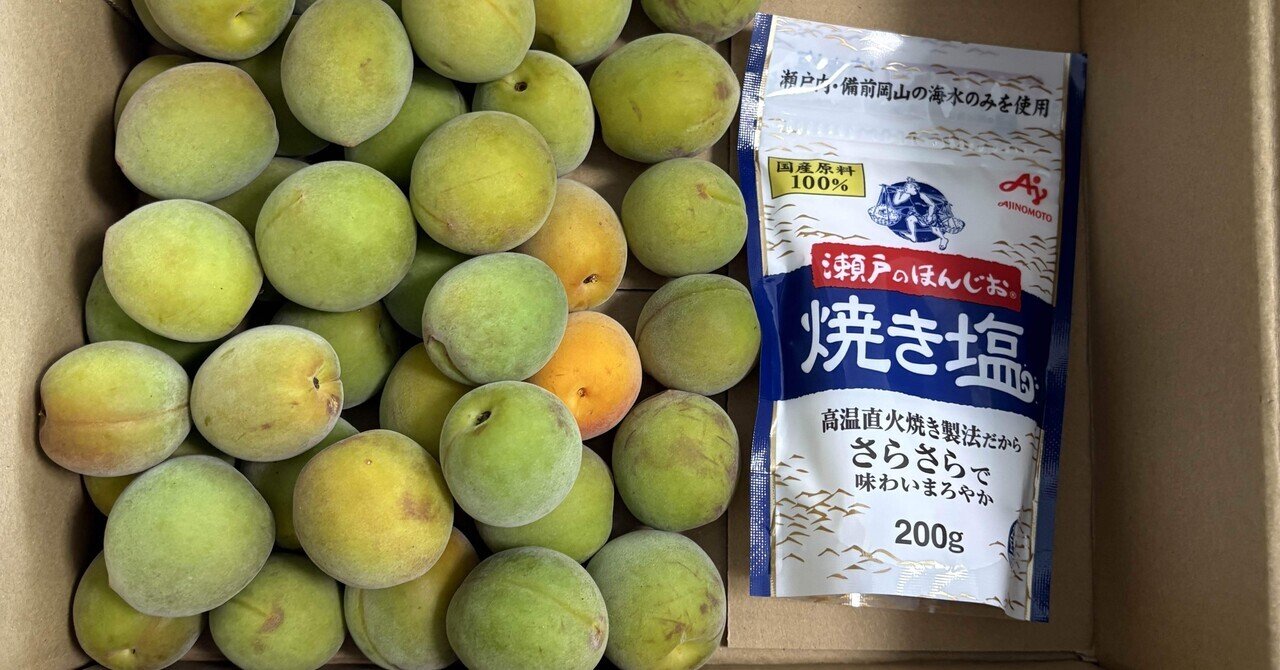 はじめての十郎小町（十郎梅の中粒改良品種）で梅干し（塩分12