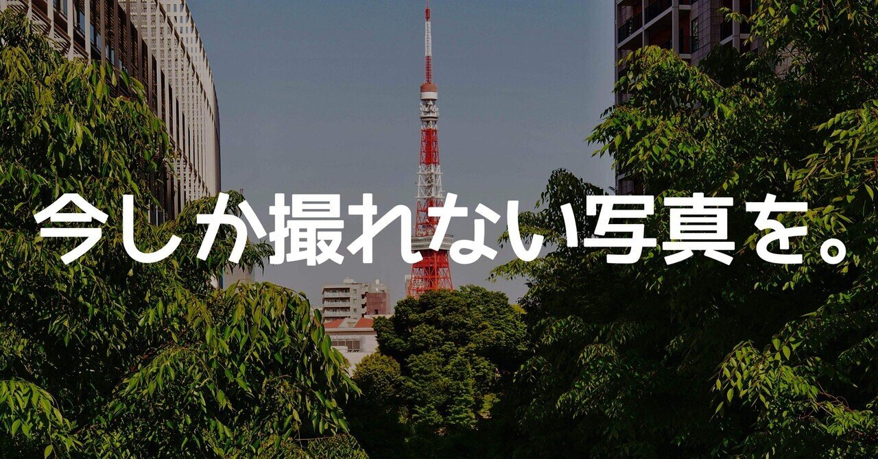 写真を見て下さい 今しか撮れない写真を｜🅣ⓄⓀⓎⓄ Ⓢ🅣ⓇⒺⒺ🅣 🄿🄸🅇