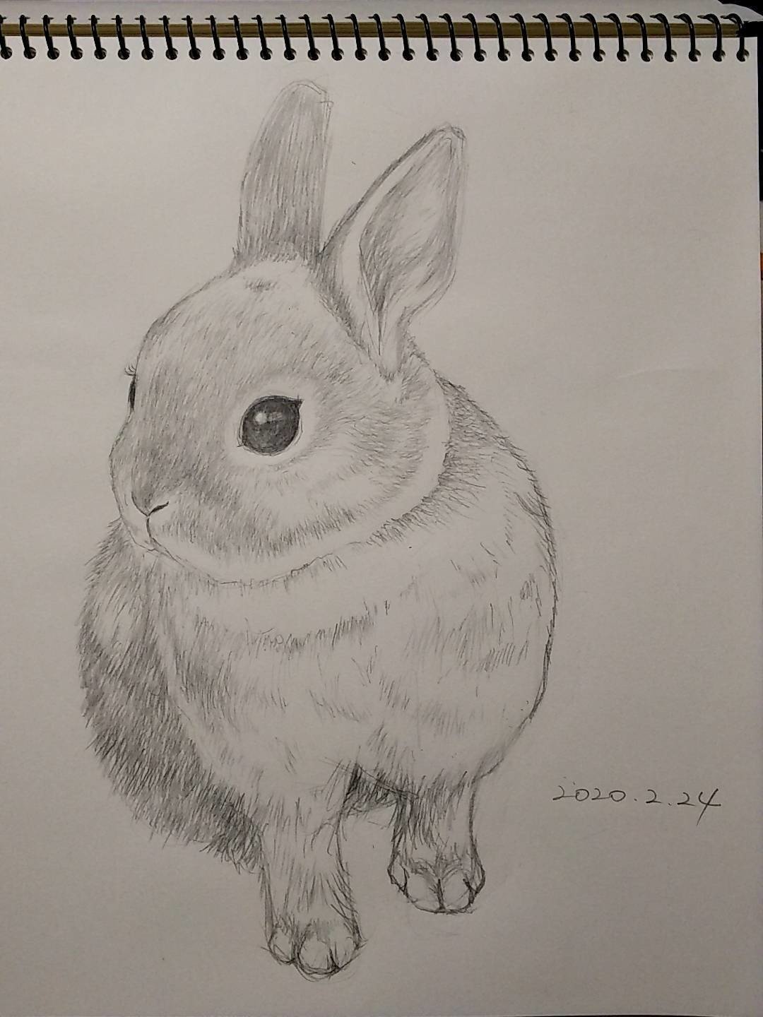 ウサギ絵 Chieko Note