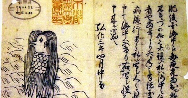葛飾北斎はどうやって魚を描いたのか？｜fish_edo