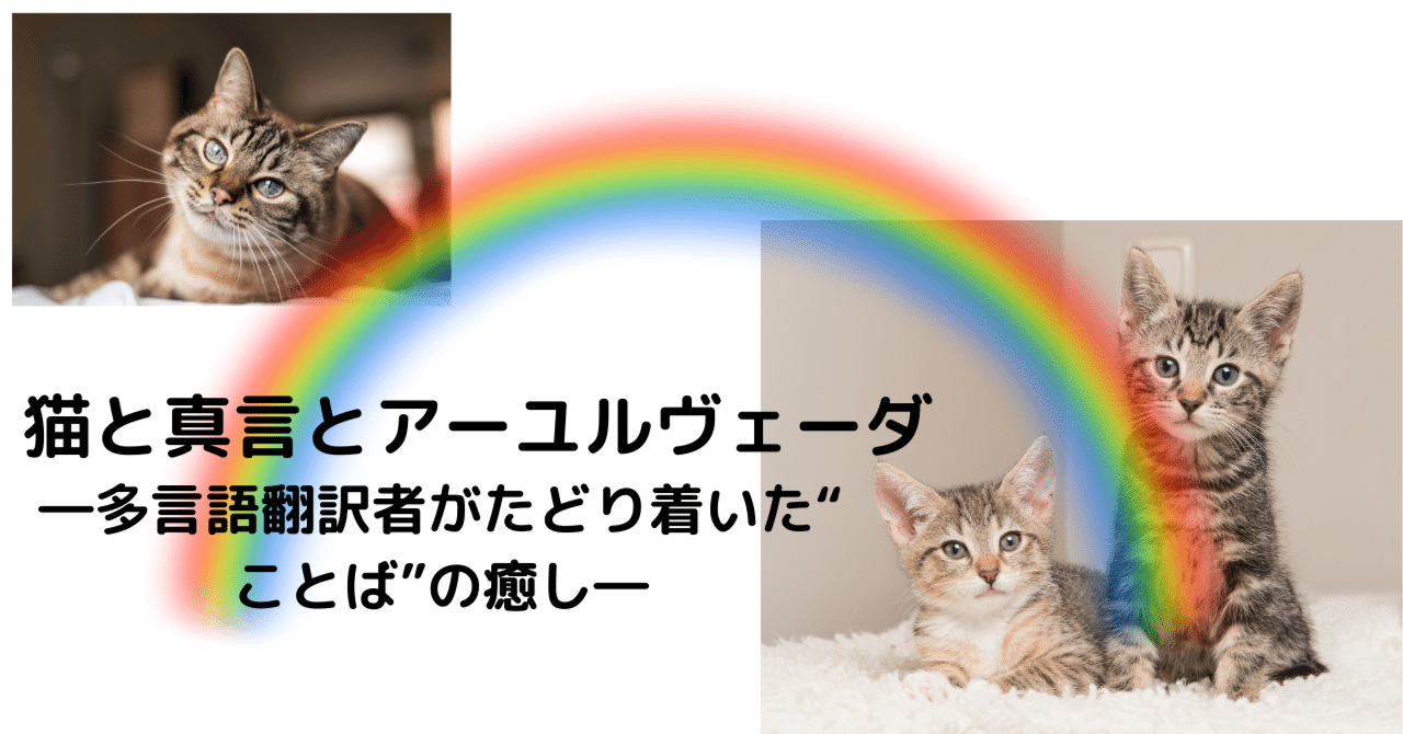 多言語翻訳者がどうしても気になること｜渡辺乃莉子