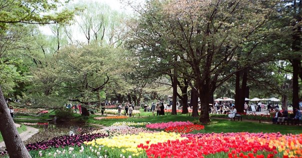 子どもの学び教師の学び: 斎藤喜博とヴィゴツキー派教育学 楽天市場】【中古】子どもの学び教師の学び: 斎藤喜博と