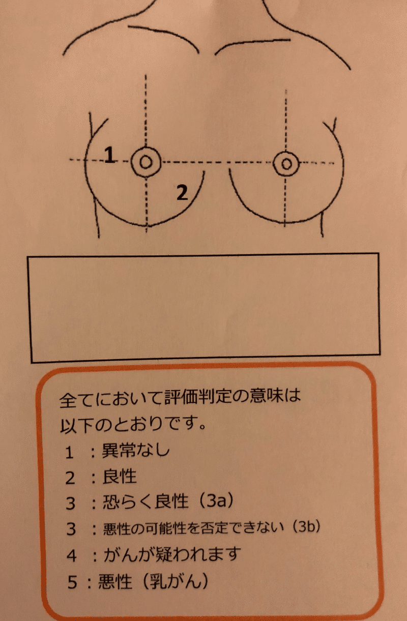 胸にしこりがあったので乳がん検査をしてきたらめちゃくちゃ泣いた話 かいや Note