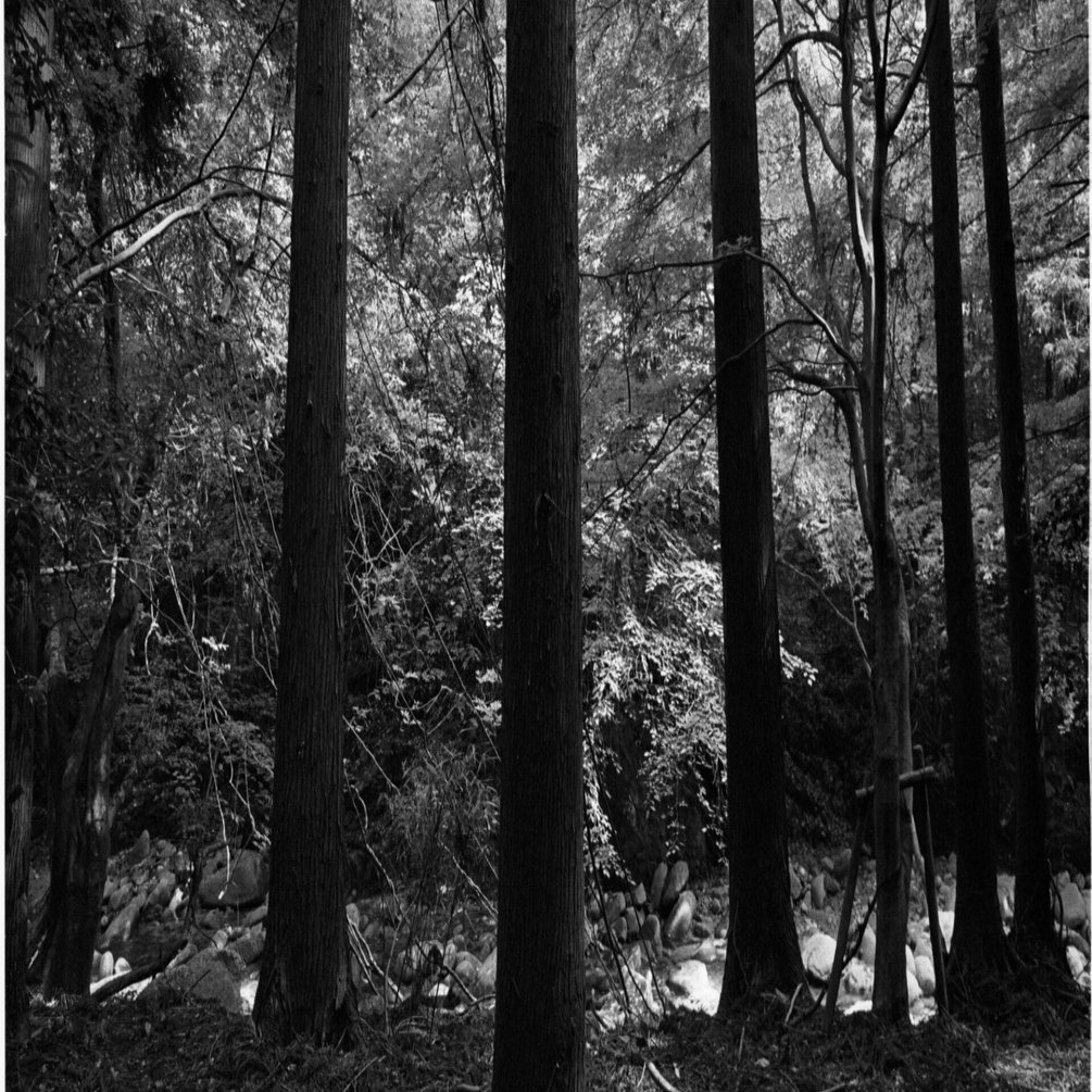 カメラ機材に依存しない写真｜しまなみフォトライフ