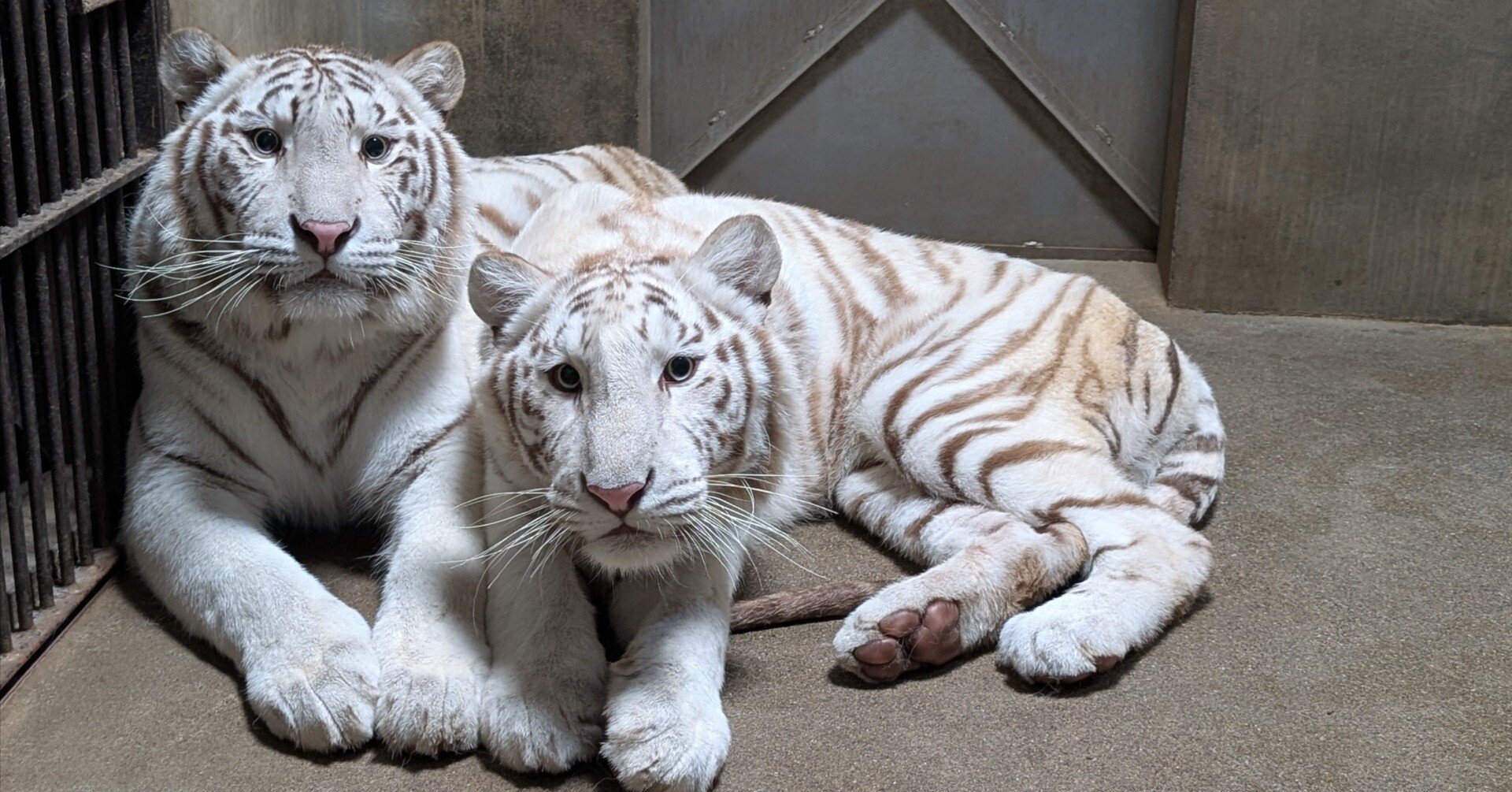 724f99af8df4574fc42c349fa1587a