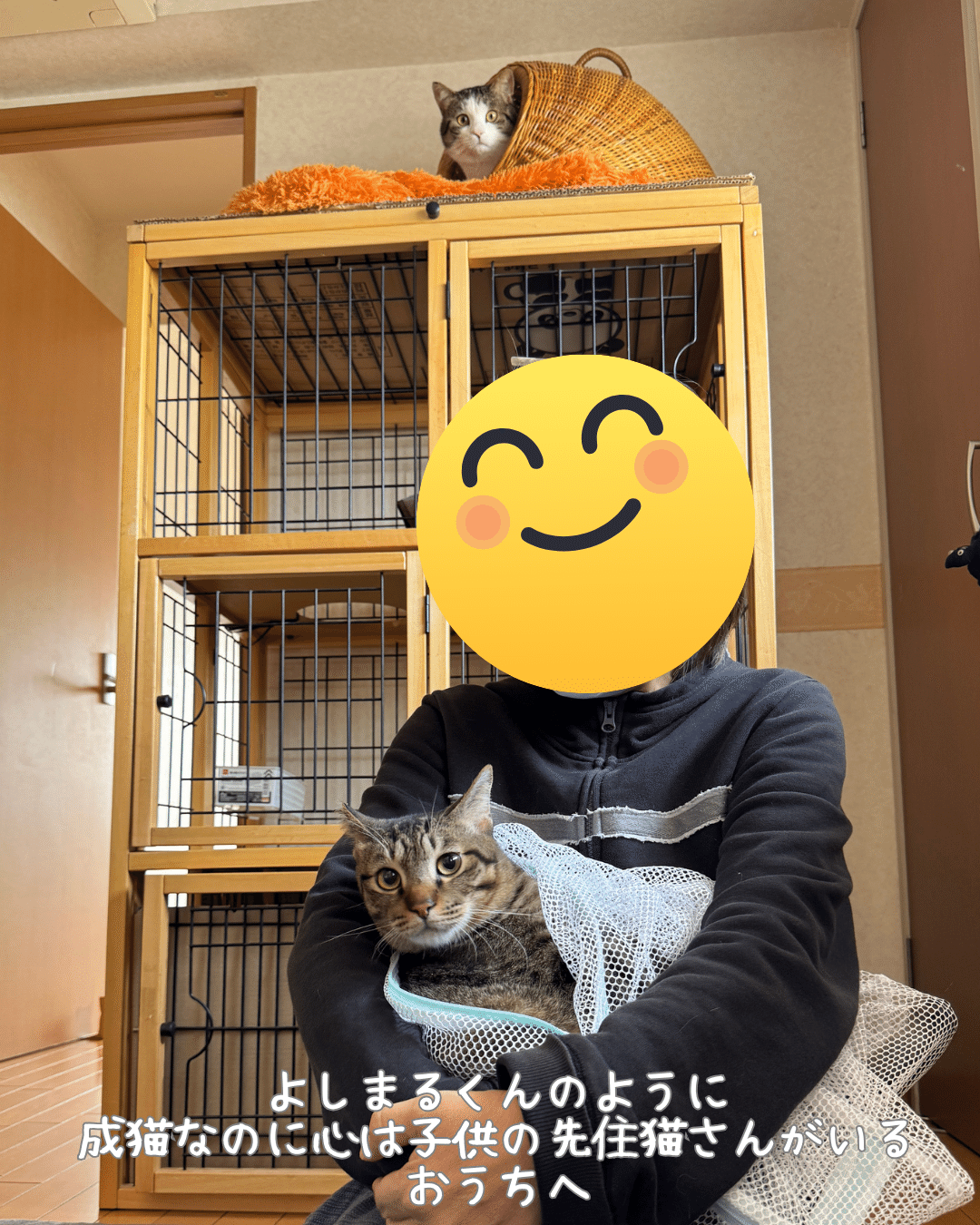 よしまる様専用 よしまる様専用