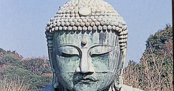 ふるさと鎌倉 鎌倉市制施行70周年記念写真集 保存版 Amazon.co.jp: ふるさと鎌倉: 鎌倉市制施行70周年記念写真集
