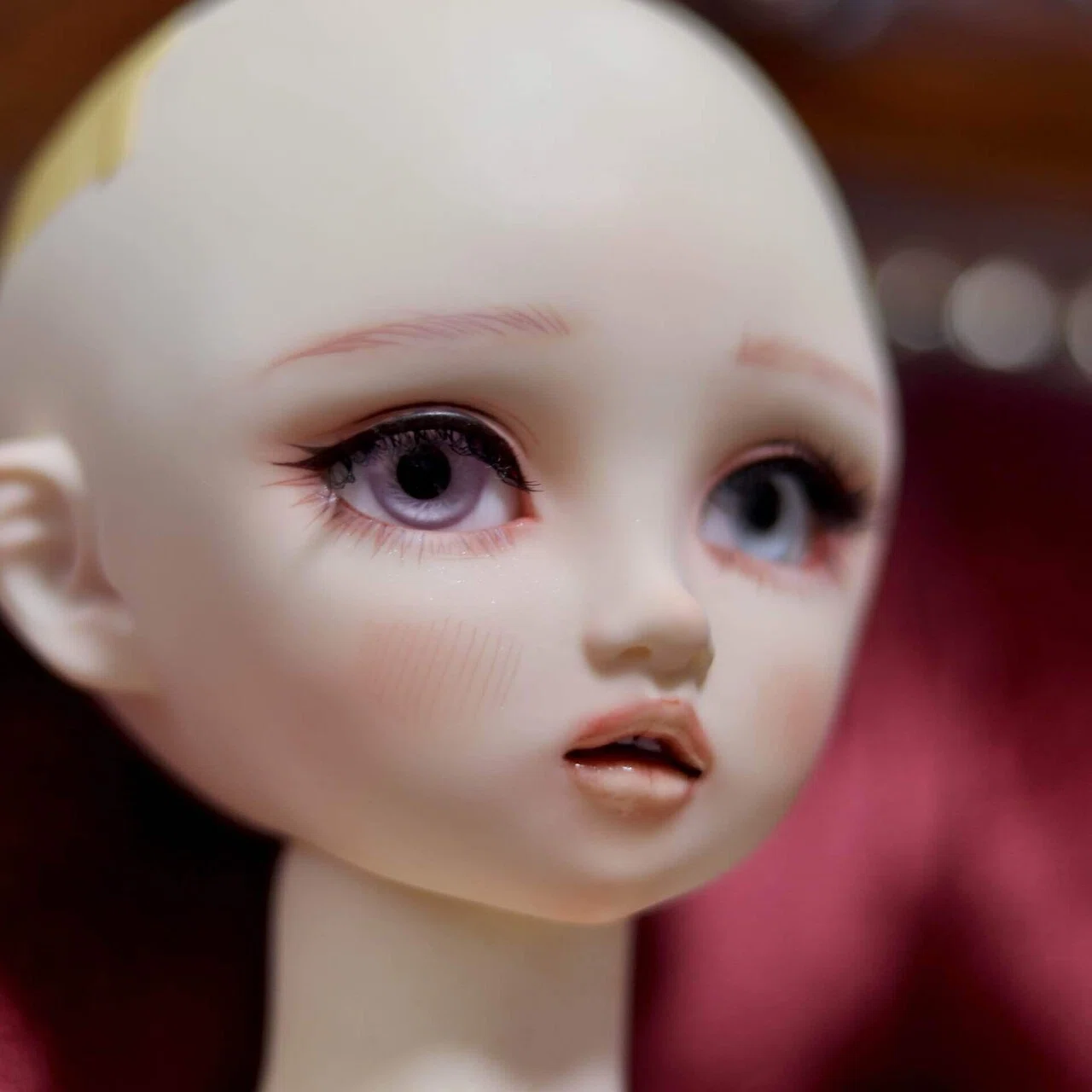 ✴︎ ボロボロのサラちゃん救出計画 ✴︎｜DALI