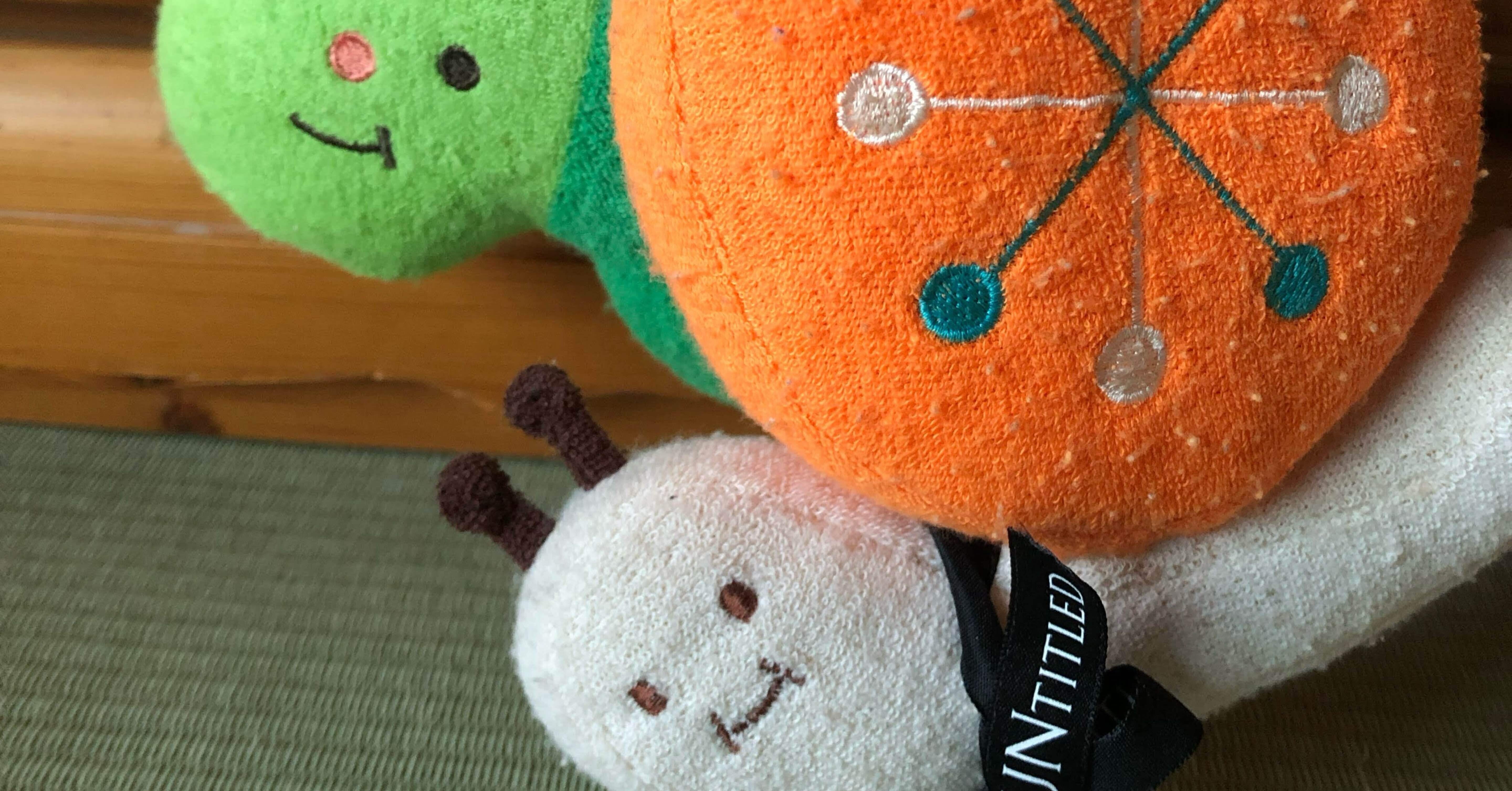 167日目 かたつむり｜天森つるは