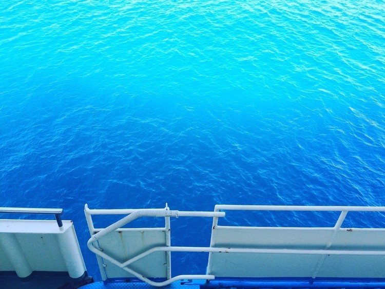 海って青いんだ。と思う。