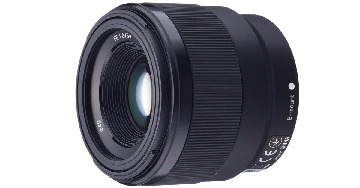 撒き餌レンズ革命】FE50mm F1.8×ホワイトミストで蘇る“現代オールド”の