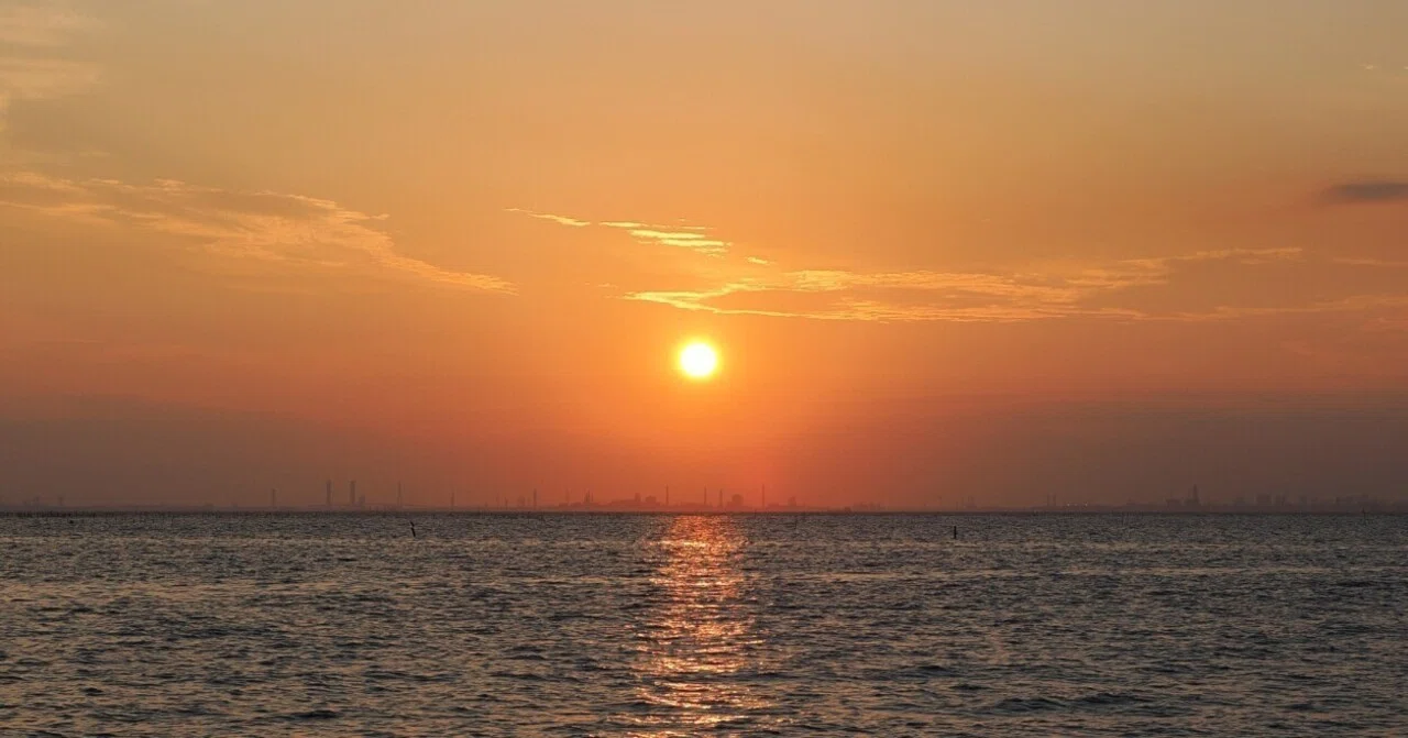 雑多な写真】久津間海岸潮干狩場【OM-3】｜平乃ひら