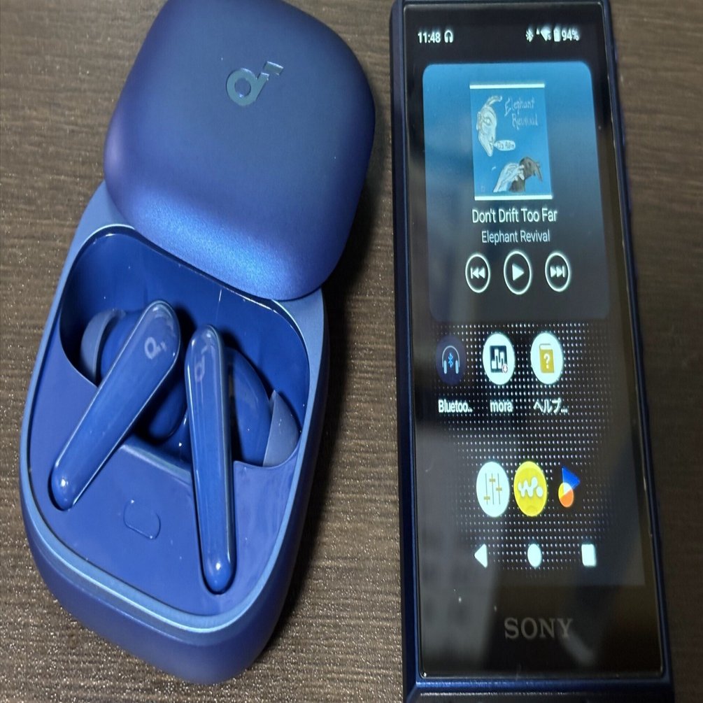 SONY WALKMAN NW-A306購入｜忍