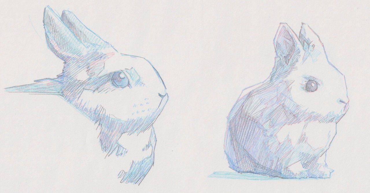 イラストオーダー＋ウサギフクロウミニ色紙 イラストオーダー＋ウサギフクロウミニ色紙