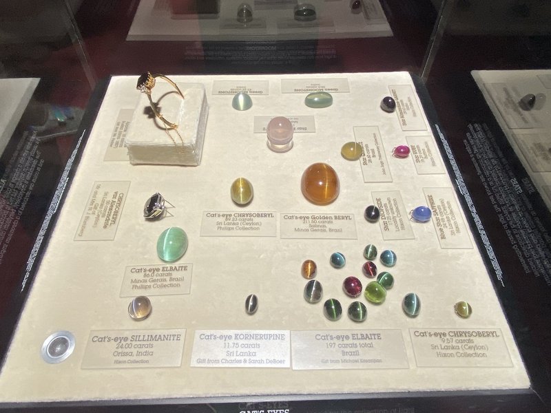 宝石好きなら一度は行きたい ロサンゼルス自然史博物館 カラッツ代表 小山慶一郎 Karatz Note