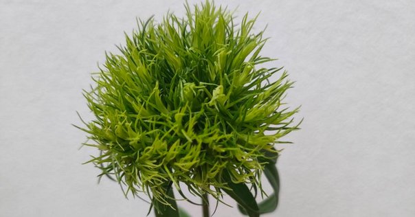 【メーカー公式ショップ】 ミニサイズモノメタルモデル「木花咲耶(コノハナサクヤ)」｜en スポーツトイ・アクショントイ