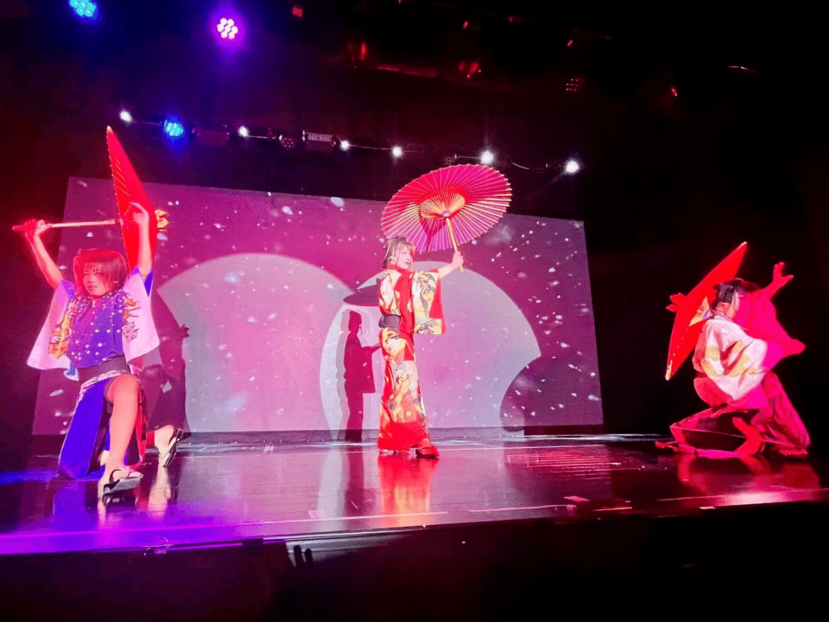 大衆演劇、第14回目の観劇💕 劇団丞弥(じょうや) @ 歌舞伎町劇場