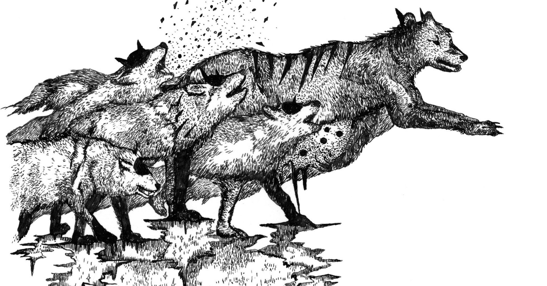 112a1cd38651f6829610692e1e975c