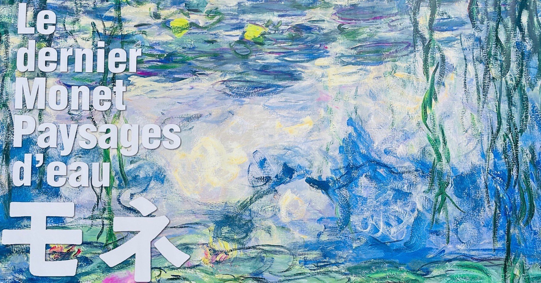 睡蓮の花のようにこの思い水面に光る｜人壱