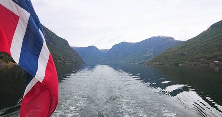 Mrs. GREEN APPLE Tシャツ 限定カラー フィヨルド クロップド丈 Mrs