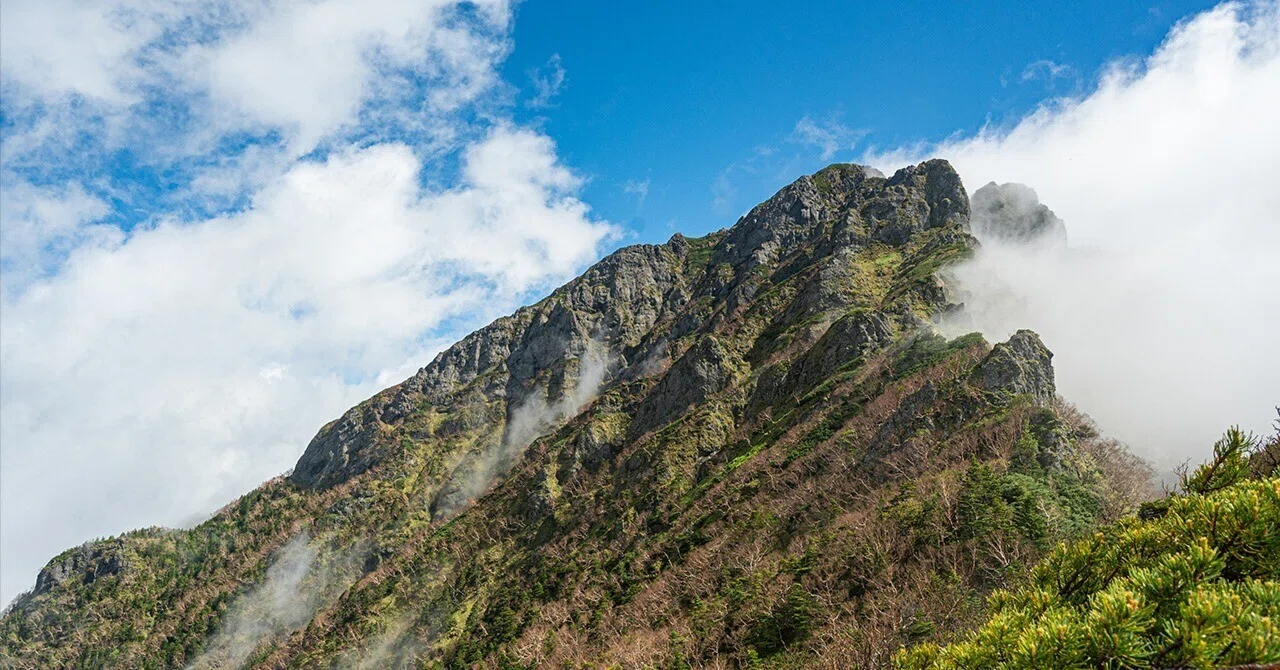 岩壁だけじゃない！見どころ満載の南稜〜阿弥陀岳〜｜ほんだよしこ