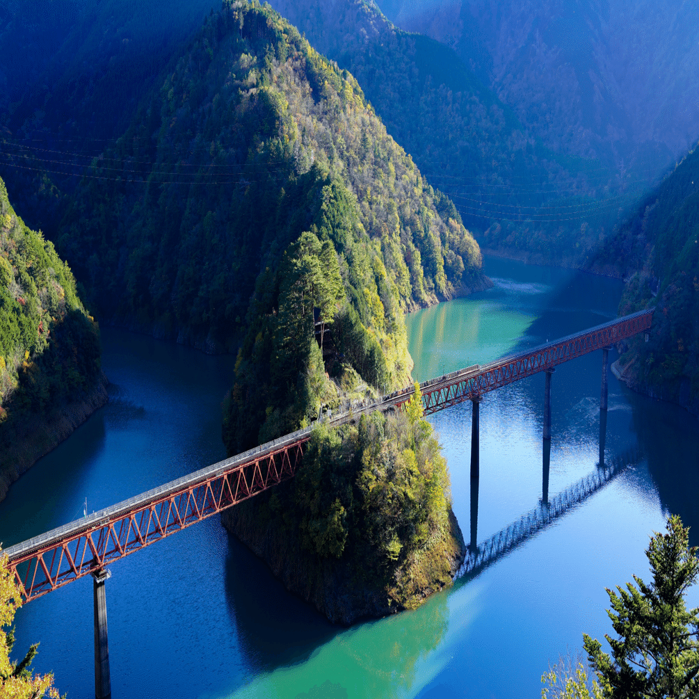 6月30日、27日ソフトフロント121円、メディシノバ190円、ソフトフロントは、今日は株価 が乱高下する、急騰後急落もありえる、必ず現物投資の余裕資金でね。メディシノバは薬物依存の治験もしている。今日か｜kuronekomarimo